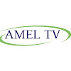 What could AMEL TV buy with $803.2 thousand?