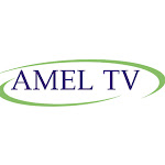 AMEL TV Net Worth