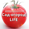 What could Сад-огород! LIFE buy with $816.79 thousand?