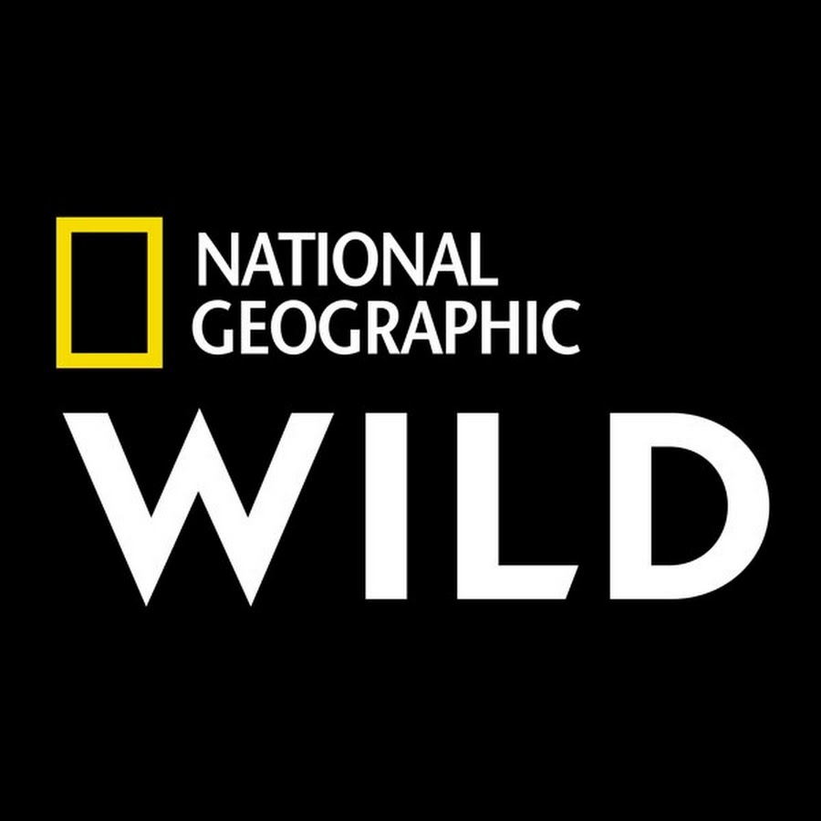 nat-geo-wild-youtube