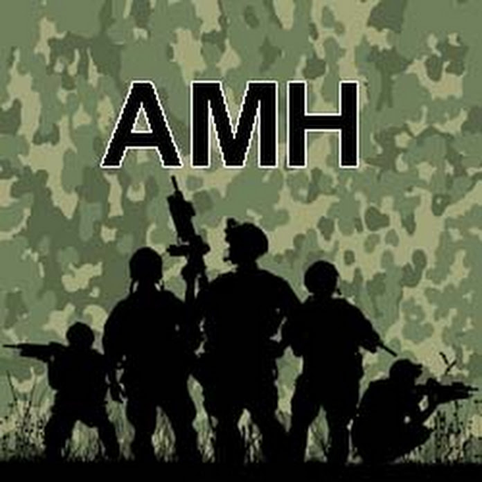 AMH Net Worth & Earnings (2026)