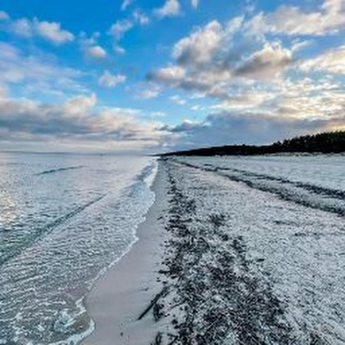 Dekoratorka Net Worth & Earnings (2026)