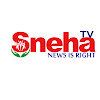 What could Sneha TV Telugu buy with $211.2 thousand?