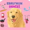What could Ebru'nun Denizi buy with $121.93 thousand?