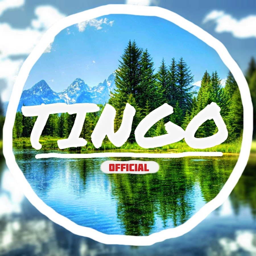 Tingo Official - YouTube