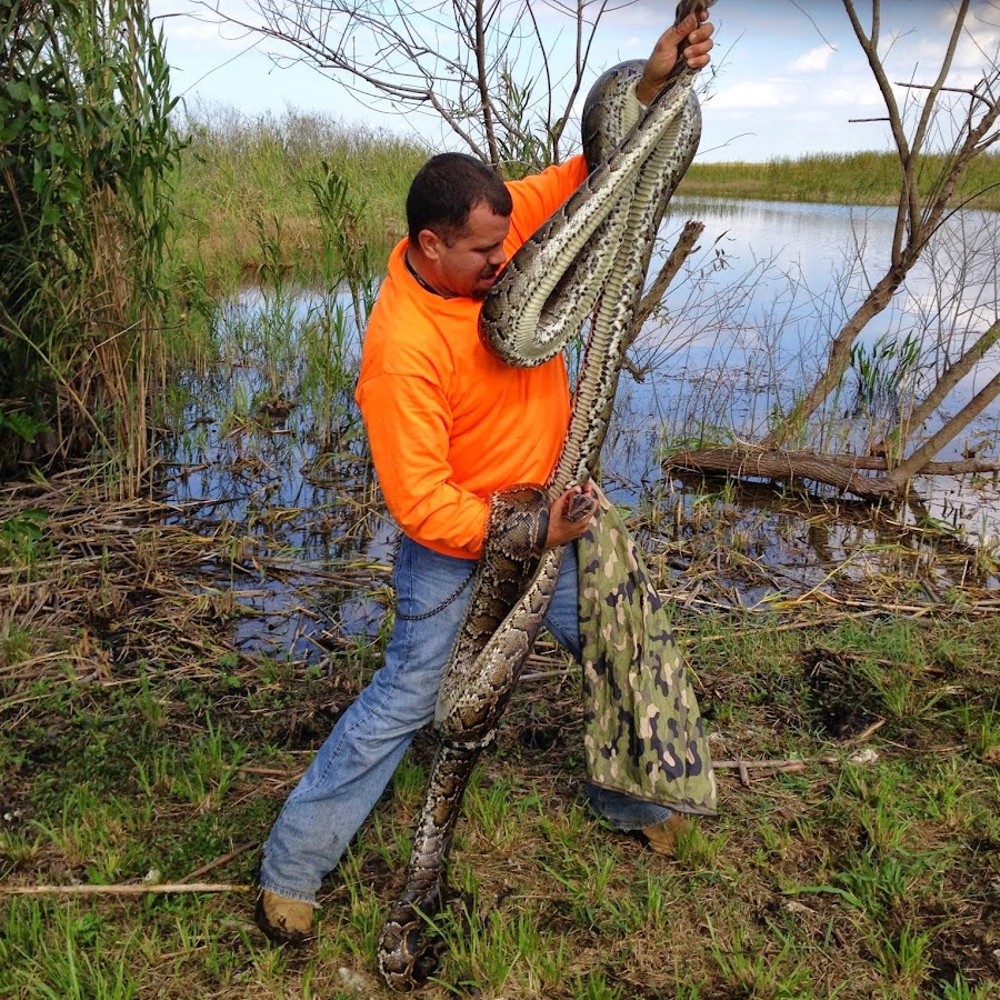 Florida Python Hunters - YouTube