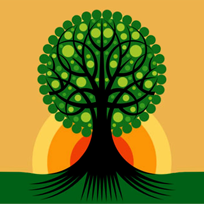 THIỀN ĐẠO Net Worth & Earnings (2026)