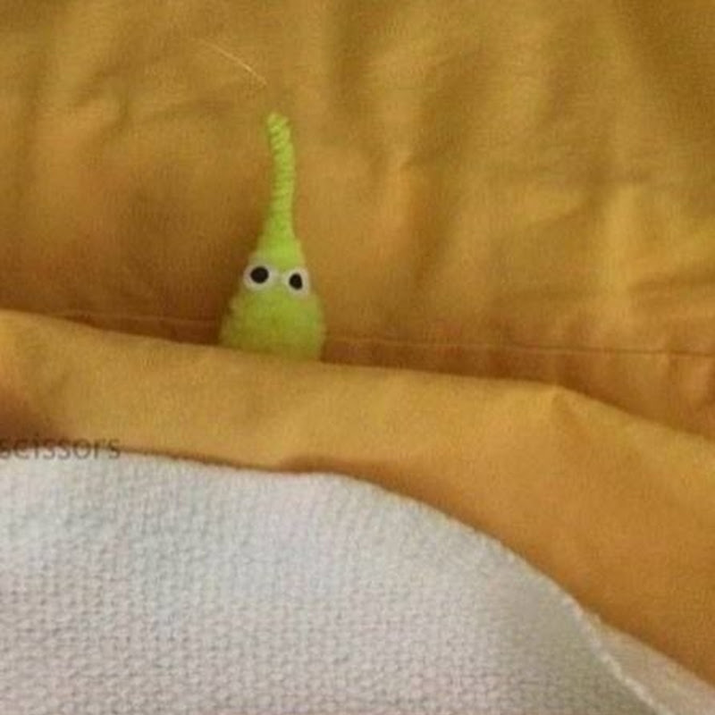 High School Roblox Hat Codes Jerusalem House - high school roblox hat codes roblox pants codes girls