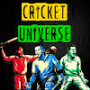 What could Cricket Universe buy with $100 thousand?