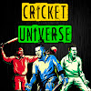 What could Cricket Universe buy with $100 thousand?