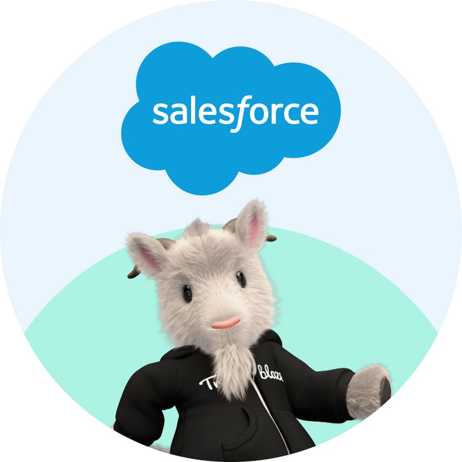 Salesforce Admins - YouTube