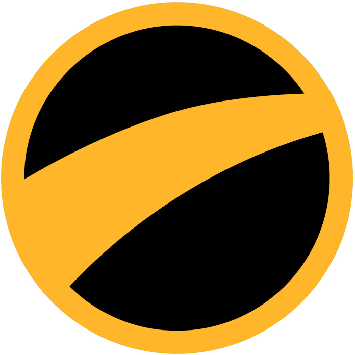 The Flares Net Worth & Earnings (2026)