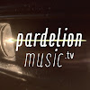 What could PardelionMusicTV buy with $169.1 thousand?