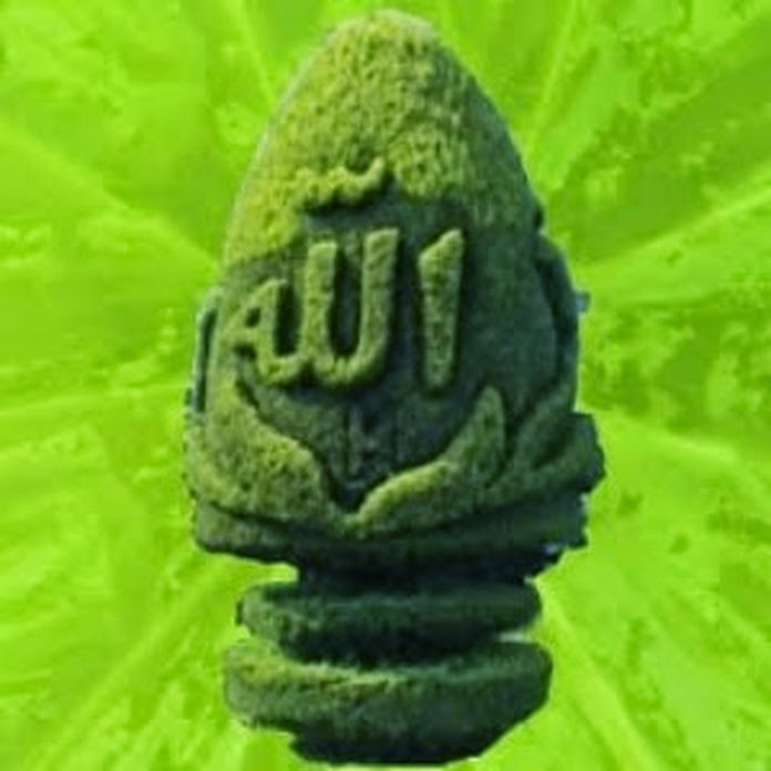 Matrivashai Net Worth & Earnings (2026)