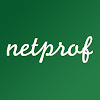 What could netprof buy with $266.8 thousand?
