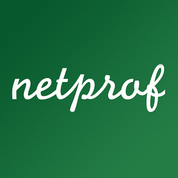 netprof Net Worth & Earnings (2026)