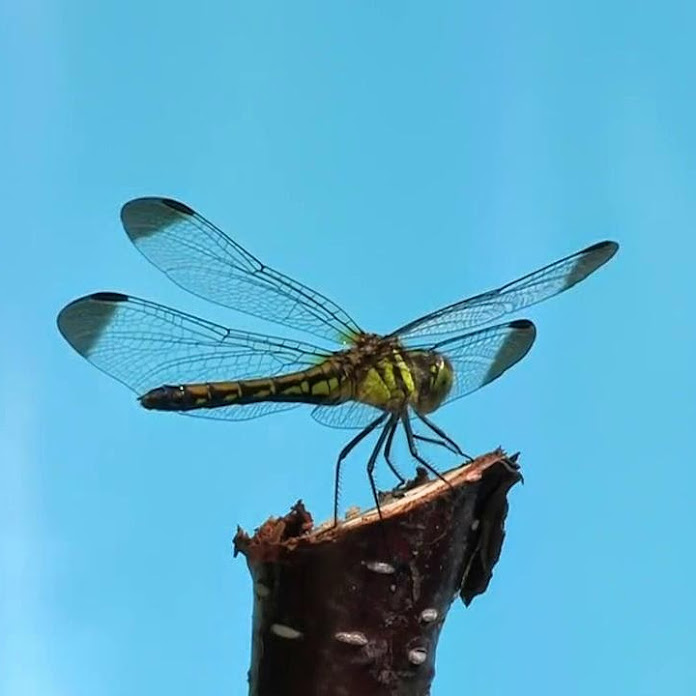 Beautiful Places To See Net Worth & Earnings (2026)