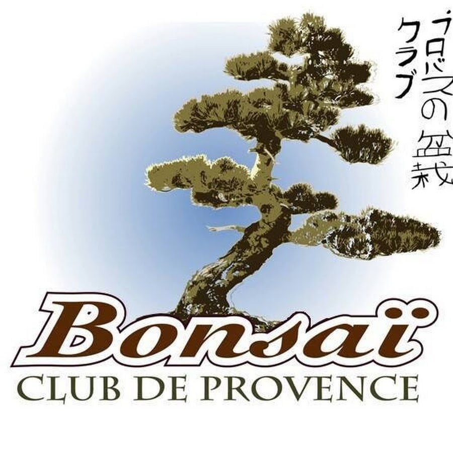 Bonsai club de provence