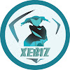 What could Xebiz buy with $194.51 thousand?