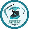 What could Xebiz buy with $194.5 thousand?