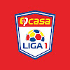 What could Fotbal Romania buy with $423.3 thousand?