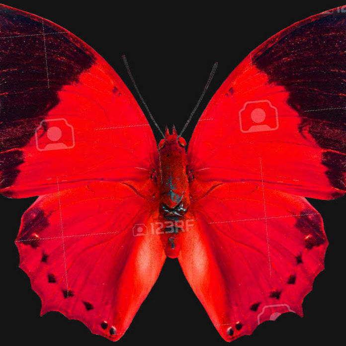 AUDIO HAI NGOAI Net Worth & Earnings (2026)