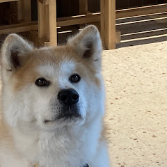 ゲームな日々-game life