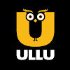What could ULLU buy with $28.1 million?