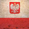 What could patriotycznyinternet buy with $100 thousand?