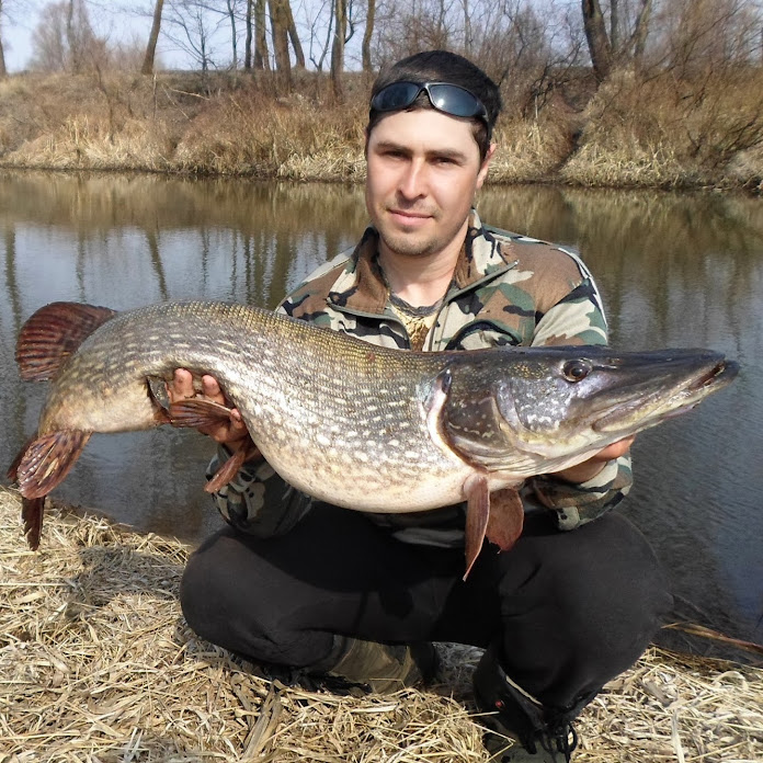 Serginio Fishing TV - рыболовный канал Net Worth & Earnings (2026)