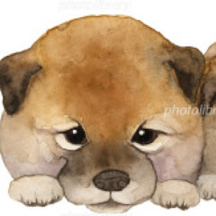 ぼてぼて