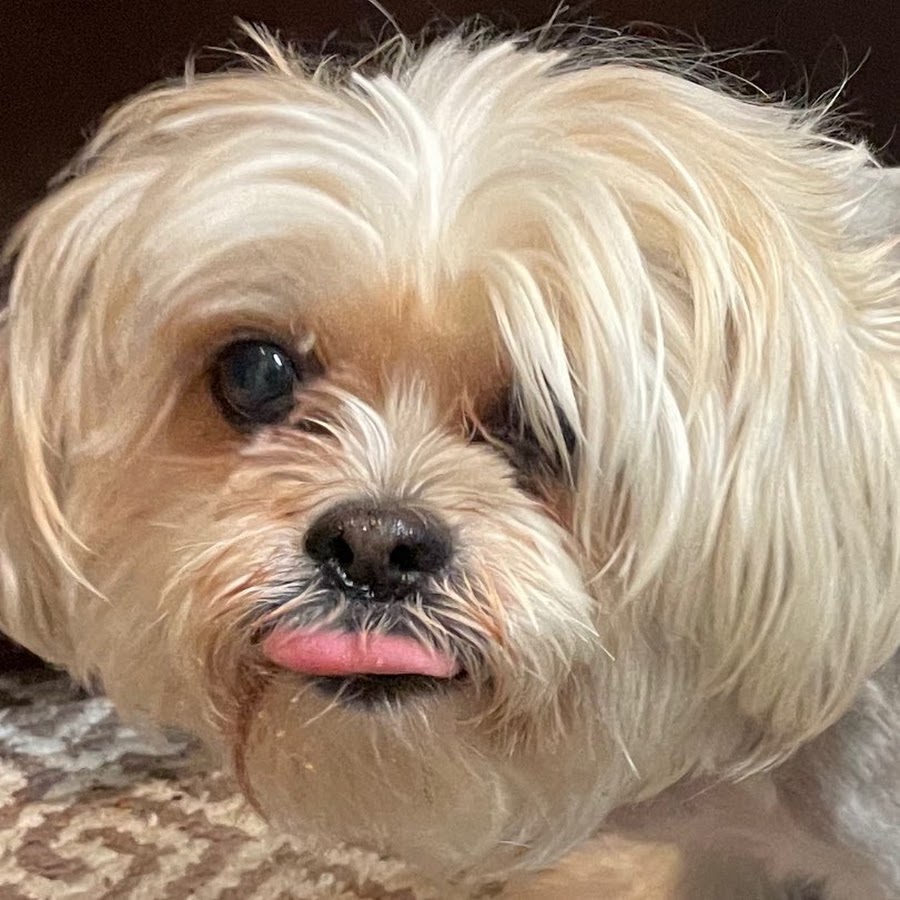 Andrew Caldwell - YouTube