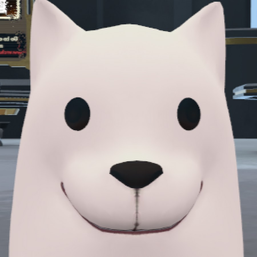 Cool Dog - YouTube