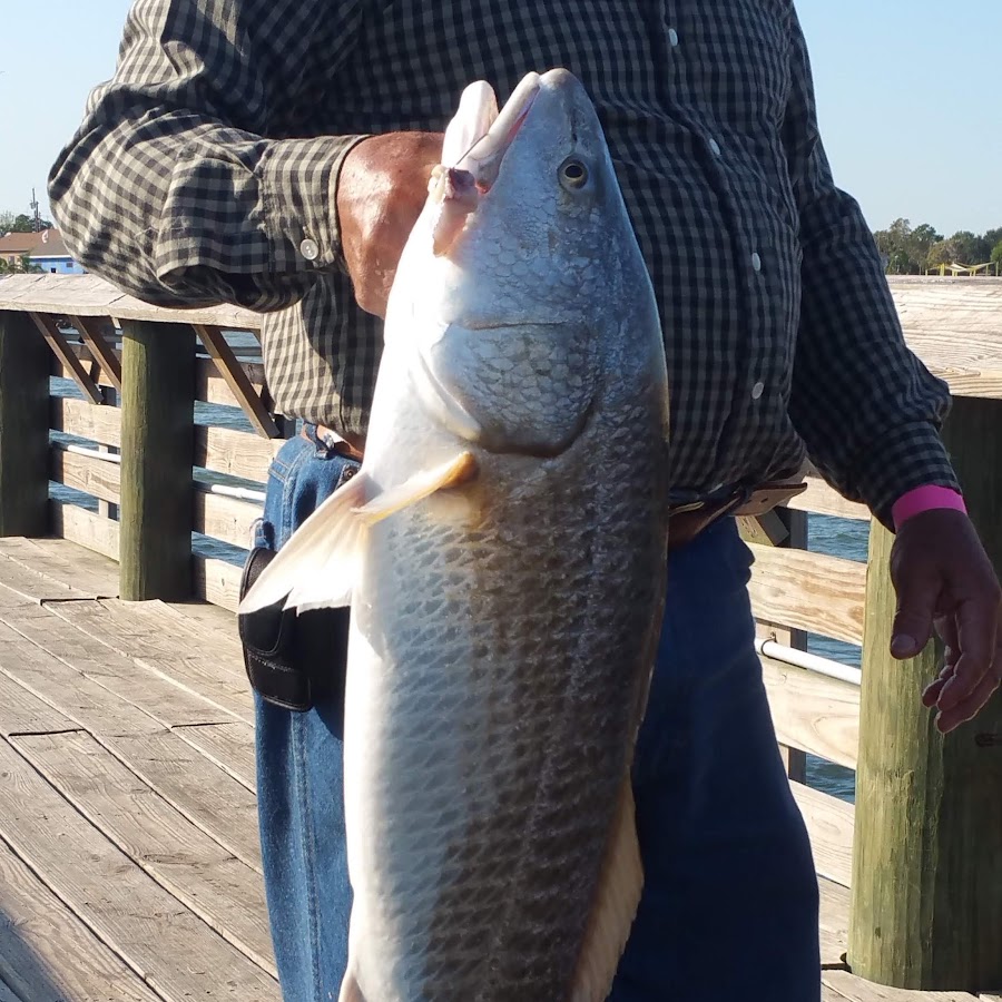 Houston Fishing Finatic YouTube