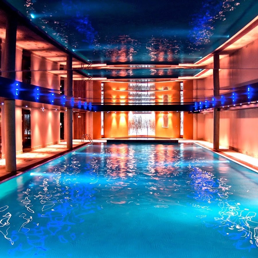 Cibo per gatti e gattini - Royal Canin