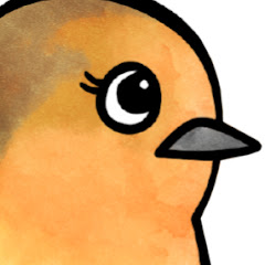 インコと身近な野鳥チャンネル