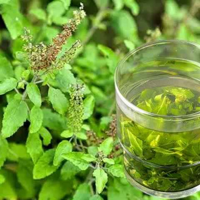 Be Proud Mommys Net Worth & Earnings (2026)