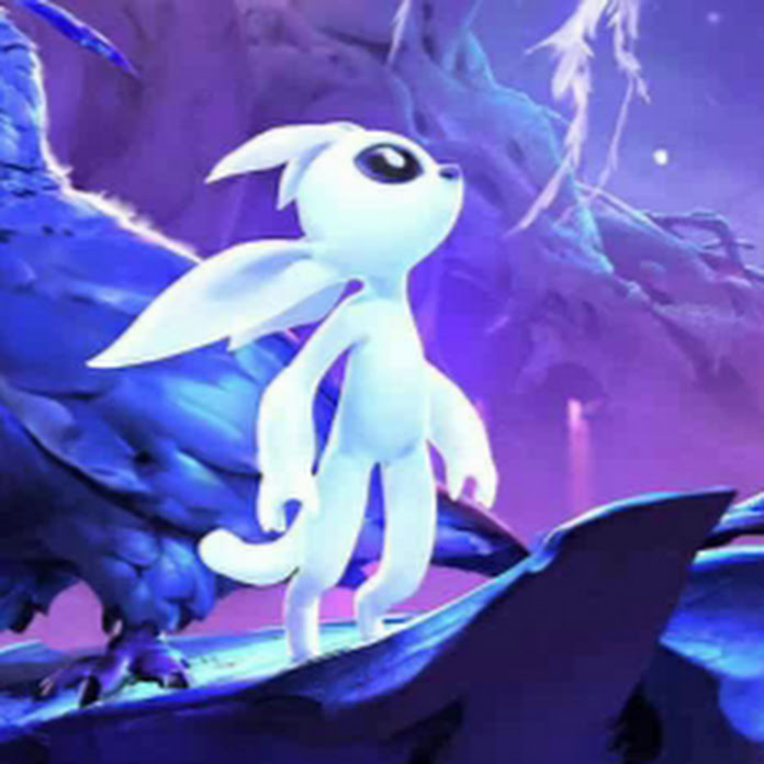 Mehmet Salih Köten Net Worth & Earnings (2026)