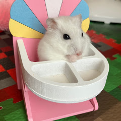 ようちゃんママ さくらんぼ大臣こと
