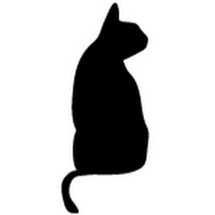Cat challenge