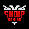 What could SHQIPGaming buy with $1.16 million?