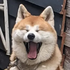 杉本龍星