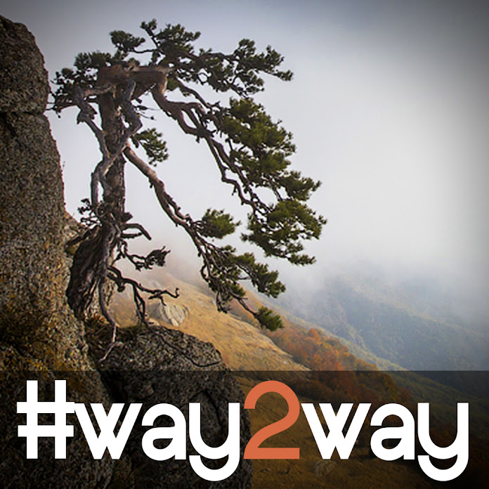 way2way Net Worth & Earnings (2026)
