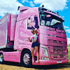 What could Sheila Bellaver OFICIAL buy with $4.6 million?