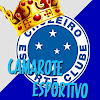 What could Camarote Esportivo buy with $248.07 thousand?
