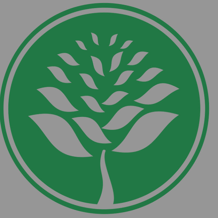 Remedios naturales Comenius Net Worth & Earnings (2026)