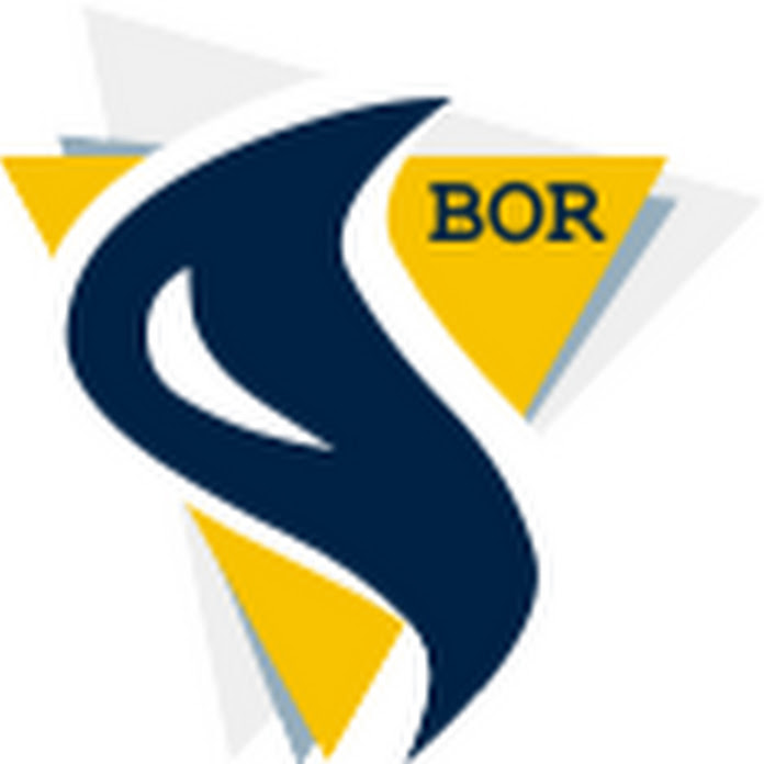 Bor Müzik Market Net Worth & Earnings (2026)