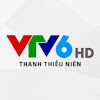What could VTV6 HD - Thanh Thiếu Niên buy with $502.9 thousand?