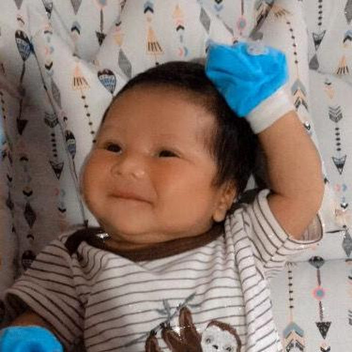 Berbagi Berita Artis Net Worth & Earnings (2026)