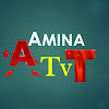What could Amina TV buy with $651.37 thousand?